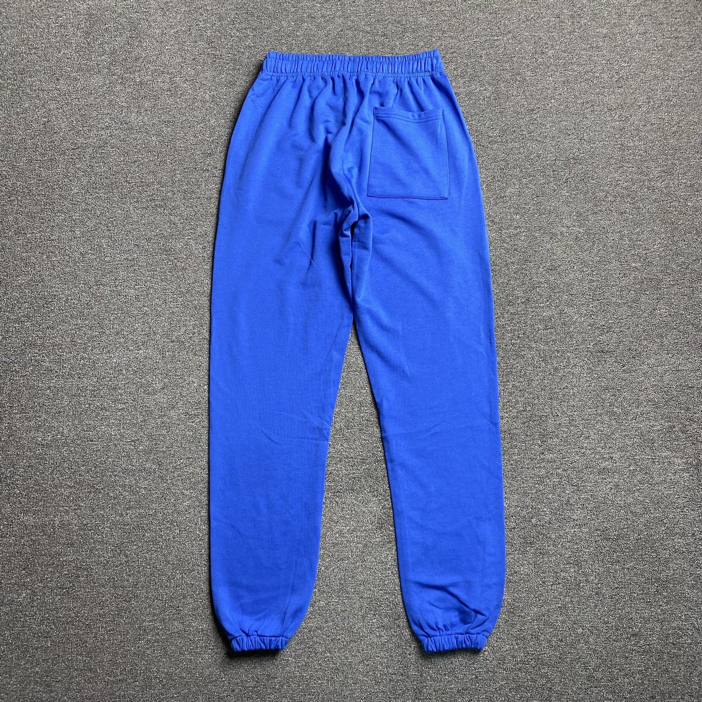 Sp5der Legacy Sweatpants Blue